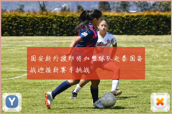 国安新外援即将加盟球队赴泰国备战迎接新赛季挑战