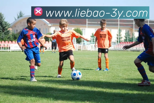 宝岛网红晒哈登新鞋引关注直言会寄给登哥别担心